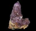 Dark Cactus Quartz (Amethyst) Crystal - South Africa #64248-1